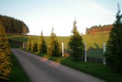chambre d'hotes Ferme Fleurie proche de Roanne et du lac des sapins