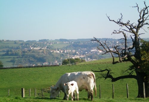 chambre d'hotes Ferme Fleurie proche de Roanne et du lac des sapins