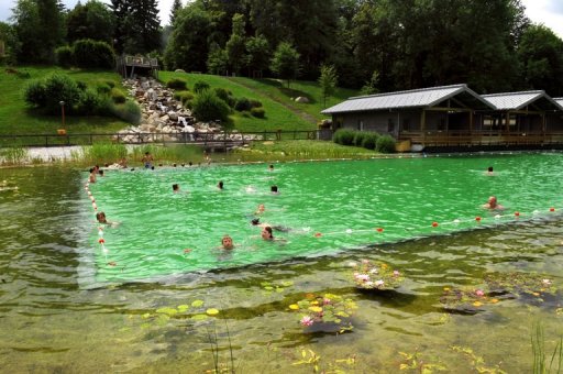 Piscine naturelle du Lac des Sapins